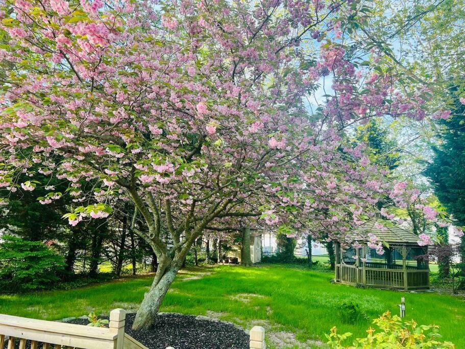 Cozy Getaway - 5 Min Drive To Beach Cape May Exterior photo
